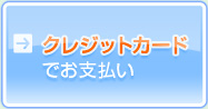 �N���W�b�g�J�[�h�ł��x����