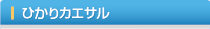 �Ђ���J�G�T��