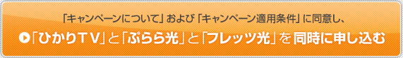 「キャンペーンについて」および「キャンペーン適用条件」に同意し「ひかりTV」と「ぷらら光」と「フレッツ光」を同時に申し込み