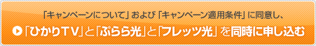 「キャンペーンについて」および「キャンペーン適用条件」に同意し「ひかりTV」と「ぷらら光」と「フレッツ光」を同時に申し込み