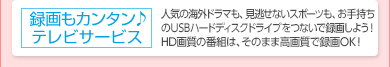 「録画もカンタン♪テレビサービス」人気の海外ドラマも、見逃せないスポーツも、特典のUSBハードディスクドライブをつないで録画しよう!ハイビジョン番組は、そのままの高画質で録画OK!