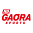 �X�J�C�EA�@sports�{ HD