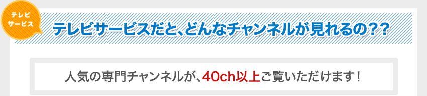 �e���r�T�[�r�X���ƁA�ǂ�ȃ`�����l���������́H�H�l�C�̐��`�����l�����A50ch�ȏゲ�����������܂��I