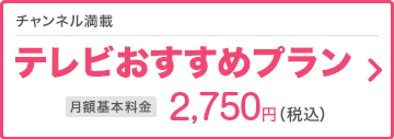 �`�����l������ �e���r�������߃v���� ���z��{����
2,625�~�i�ō��j