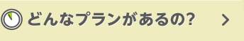 �ǂ�ȃv����������́H