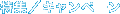 ���W/�L�����y�[��