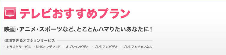 テレビおすすめプラン 映画・アニメ・スポーツなど、とことんハマりたいあなたに! 追加できるオプションサービス:カラオケサービス NHKオンデマンド オプションビデオ プレミアムビデオ プレミアムチャンネル