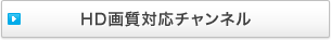 HD�掿�Ή��`�����l��