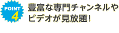 POINT4 �L�x�Ȑ��`�����l����r�f�I��������I