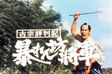吉宗評判記 暴れん坊将軍