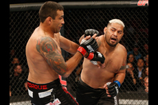 UFC 180 WERDUM vs. HUNT 2014.11.15