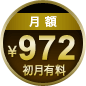 月額972円(税込)初月有料