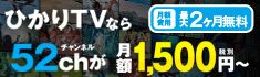 月額基本料金最大2ヶ月無料