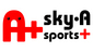 �X�J�C�EA sports�{