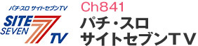 Ch841 p`EX TCgZusu