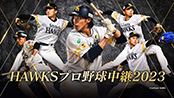 HAWKS v싅p2023