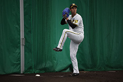 スカイＡスタジアム阪神タイガース 公式戦【生中継/録画中継】