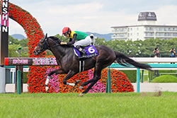 中央競馬全レース生中継