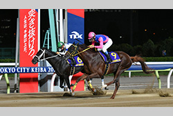 帝王賞　他(大井競馬場　ＪｐｎⅠ)