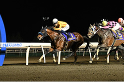 第２７回北海道スプリントカップ（JpnⅢ）/門別競馬場
