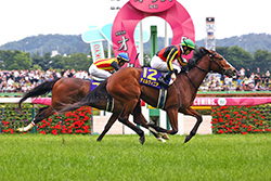 中央競馬全レース中継