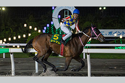 かしわ記念（船橋競馬場　ＪｐｎⅠ）