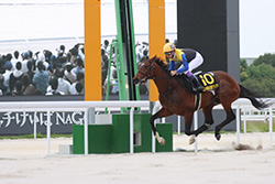 第57回名古屋グランプリ（ＪｐｎⅡ）/名古屋競馬場