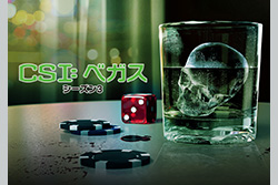 CSI: ベガス シーズン3
