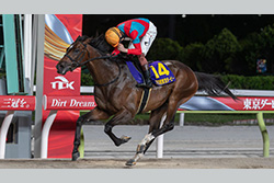 東京ダービー（大井競馬場　ＪｐｎⅠ）