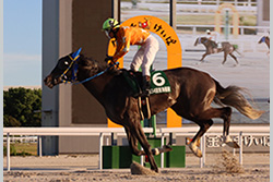 第55回　東海優駿（SPⅠ）/名古屋競馬場