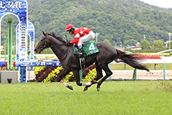 中央競馬全レース中継