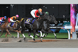 スパーキングレディーカップ（川崎競馬場　ＪｐｎⅢ）