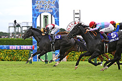 中央競馬全レース中継
