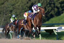 第57回不来方賞(JpnⅡ)/盛岡競馬場 