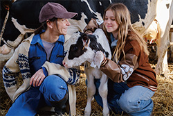 Le combat d'Alice アリスの闘い（訳題）（日本語字幕付）