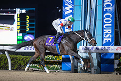 浦和記念　（浦和競馬場　JpnⅡ） 