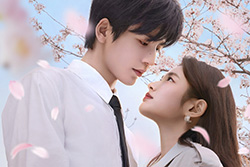 素敵な恋の咲かせかた