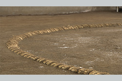 相撲の原点は稽古にあり～大相撲　出羽海一門連合稽古～