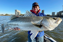 魚種格闘技戦！ 285