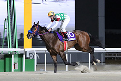 第27回梅見月杯（SPⅠ）/名古屋競馬場