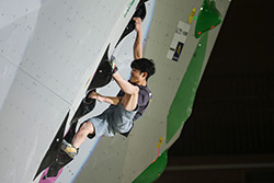 スポーツクライミング　ボルダージャパンカップ2026