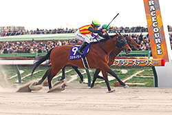 中央競馬全レース中継