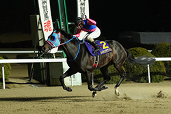 第53回 佐賀記念(JpnⅢ)/佐賀競馬場