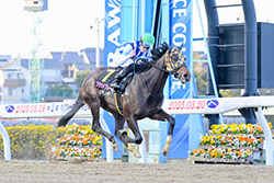 桜花賞（浦和競馬場　SⅠ）