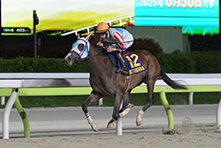 羽田盃（大井競馬場　JpnⅠ）