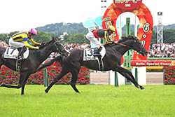 中央競馬全レース中継