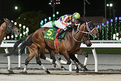 かしわ記念（船橋競馬場　JpnⅠ）