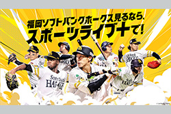 HAWKS プロ野球中継2026