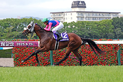 中央競馬全レース中継