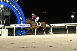 第54回北海優駿(H1)/門別競馬場